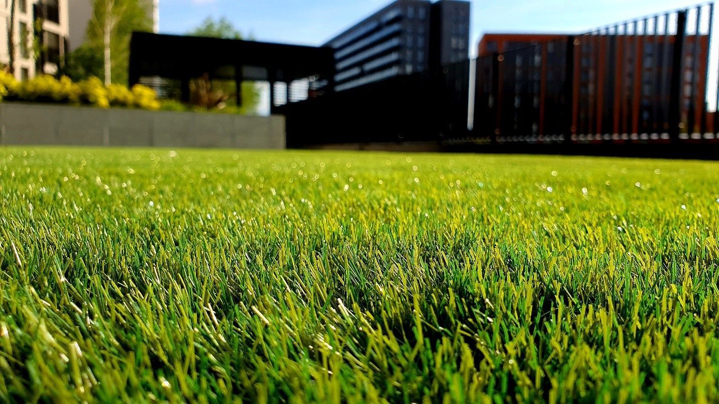 Many Americans consider lawns synonymous with success
