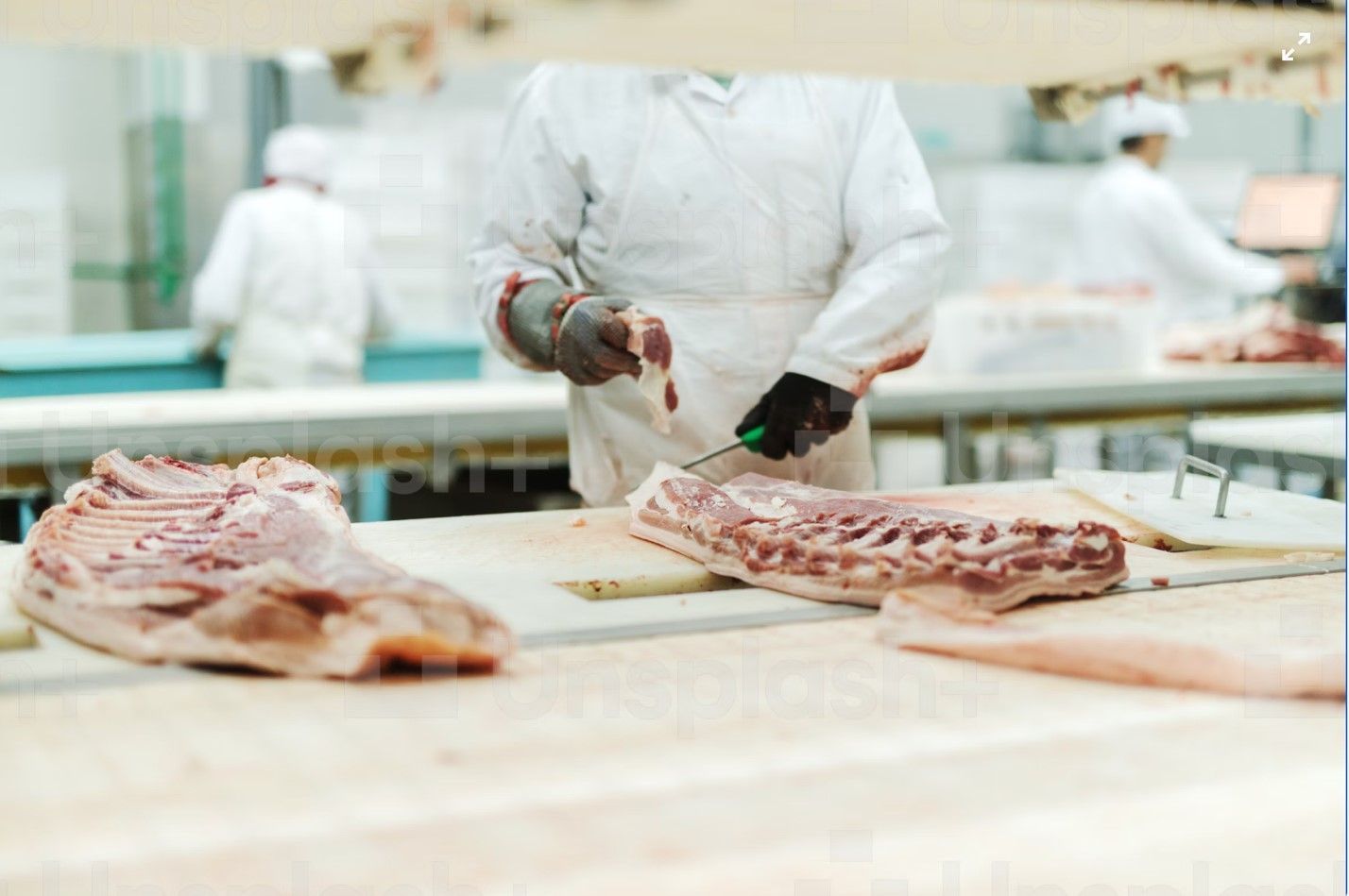 Slaughterhouses are endangering communities and threatening the health and well-being of all nearby. FSIS and OSHA need better standards to acknowledge these concerns.