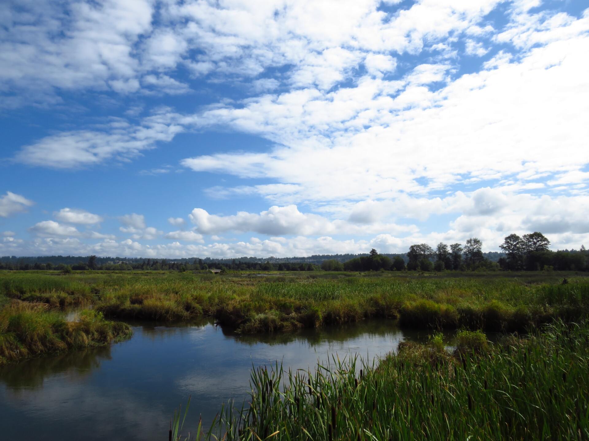 New Hampshire’s Wetlands: How the N.H. Supreme Court in Greenland Eliminated A Key Component for Wetlands Protection