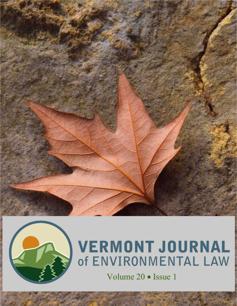 Volume 20 Issue 1 Cover featuring a fallen leaf