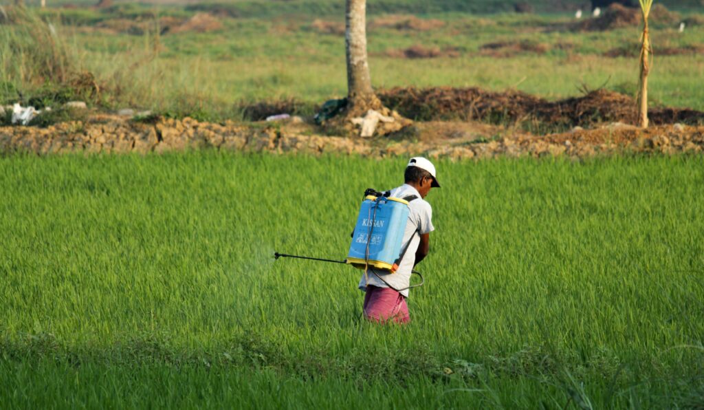 Farm worker in a field spraying pesticides