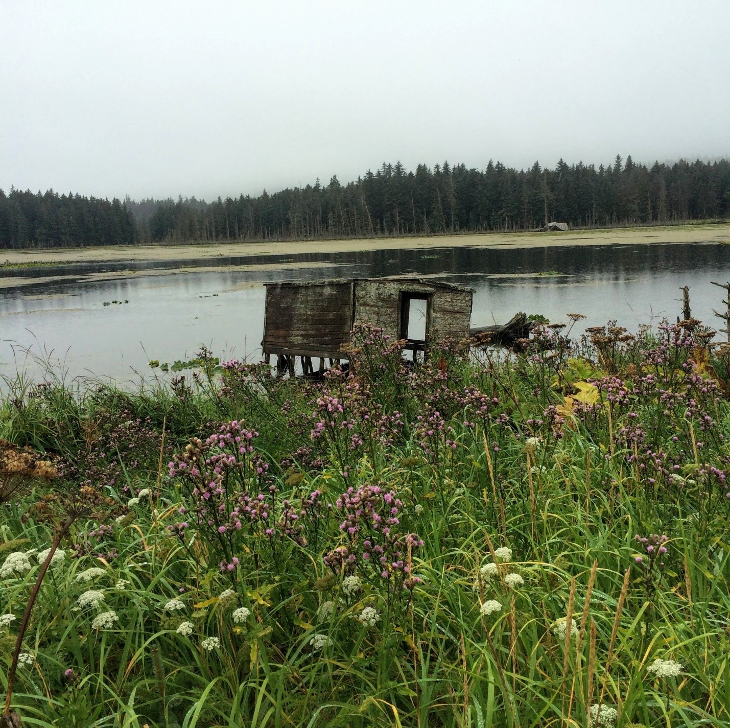 Is a Lack of Data the Reason for Alaska’s Lack of Environmental Justice Legislation?