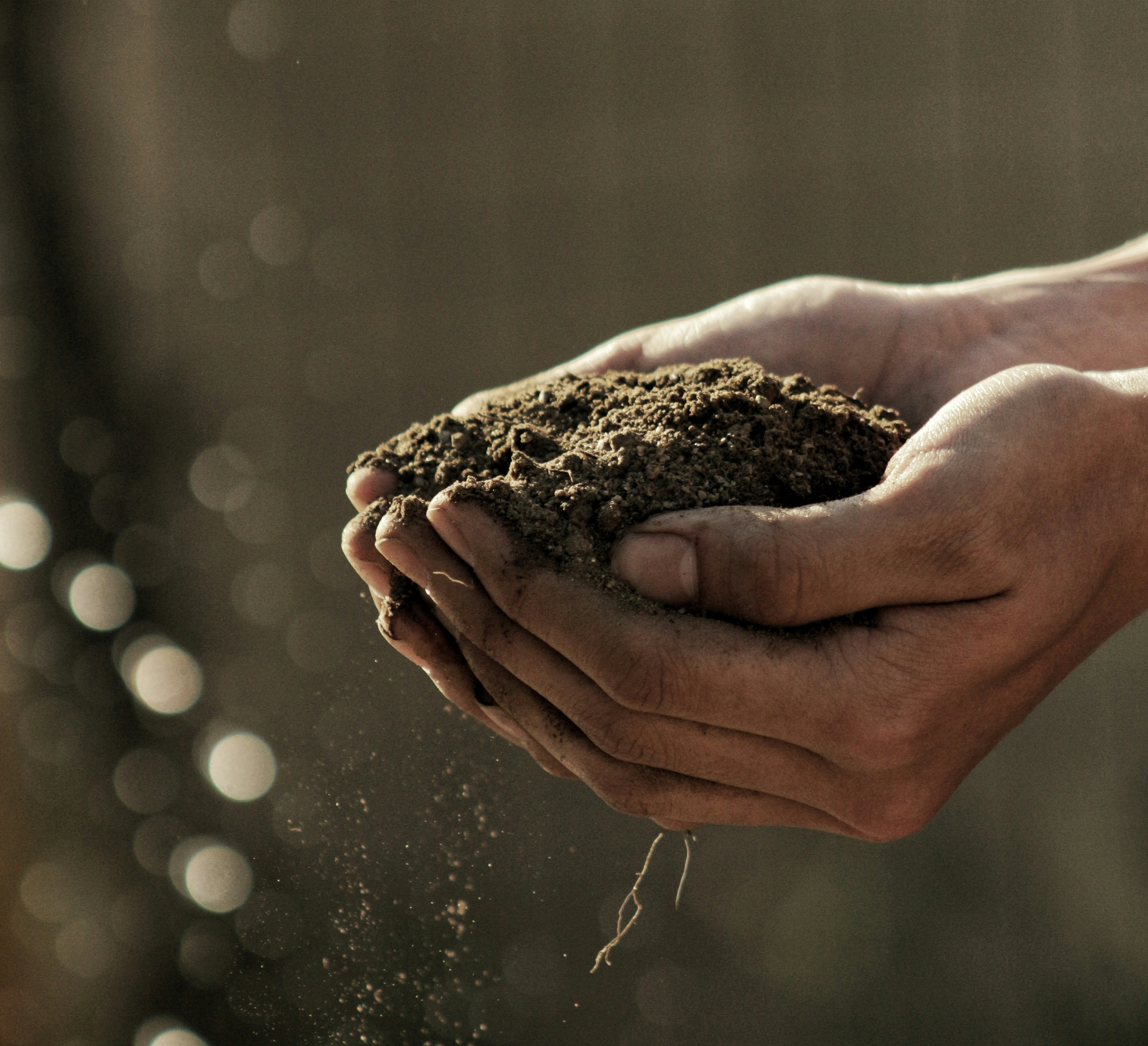 Community Land Trusts as a Tool for Land Reparations