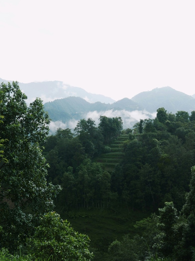 Justice and Equity in Community Forestry: An Enigmatic Dogma?