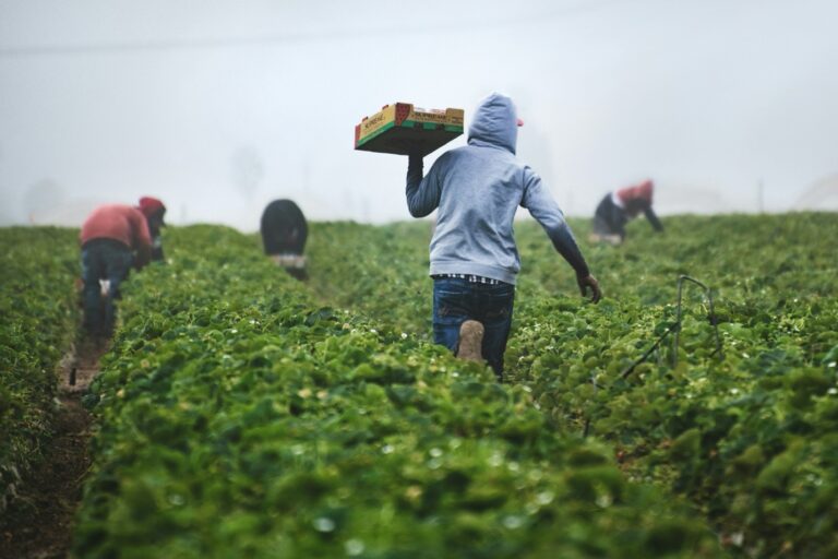 How ICE Raids Impact the Enforcement of Labor Rights for Migrant ...